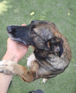 Margo
